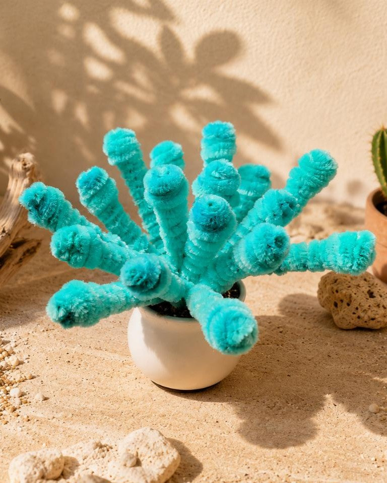 La Succulente Enchantée